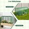 PE Metal Mini Tunnel Greenhouse with Roll-Up Door and Windproof Stakes